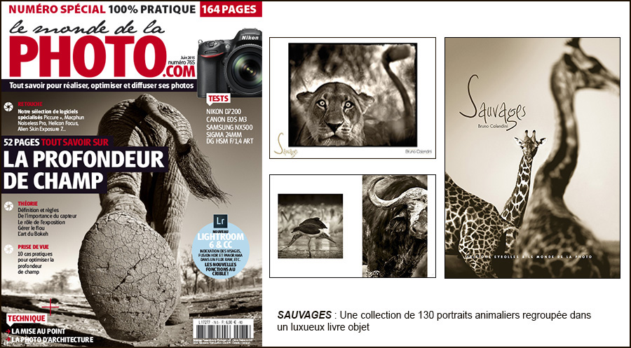 Couv MDLP SAUVAGES - Calendini - studionature.com