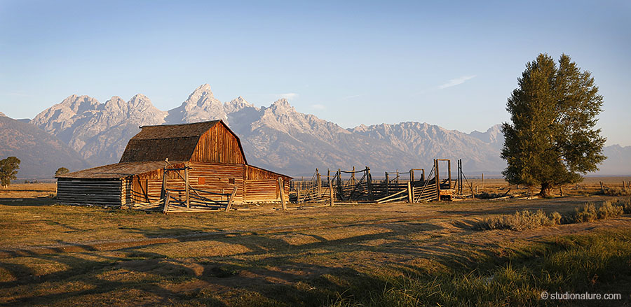 USA © studionature.com